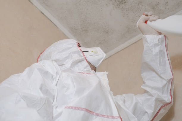 Best Mold Testing and Inspection Services in South Wenatchee, WA